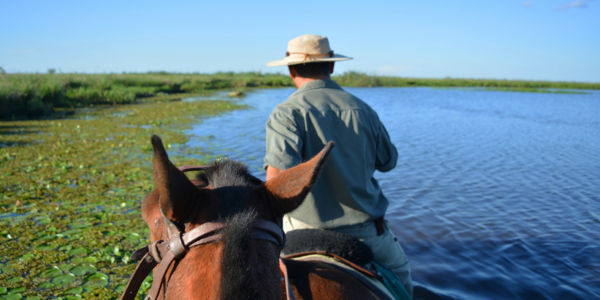 La UNNE y Agencia Nacional financiarán investigaciones en el Iberá y El Impenetrable